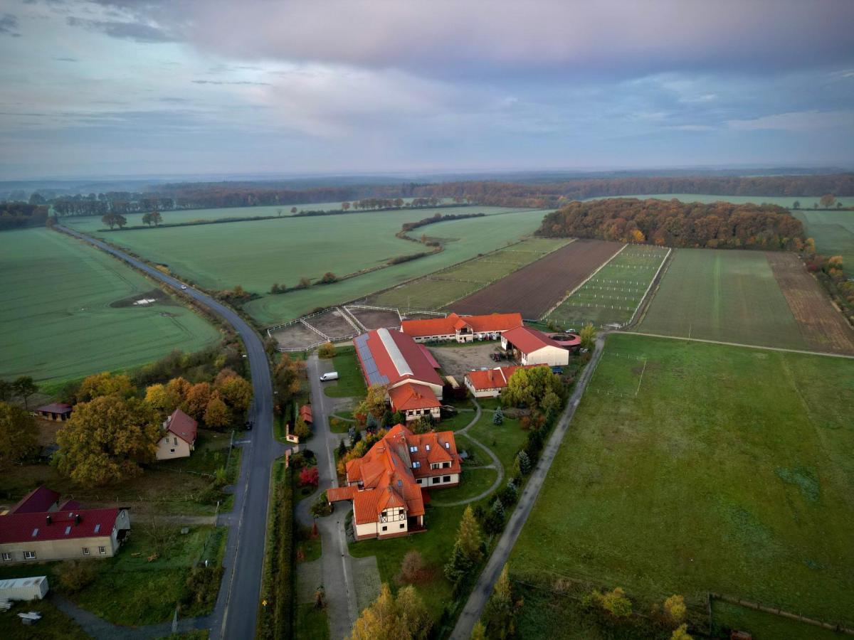 Villa Barbara Oborniki Slaskie Exterior photo